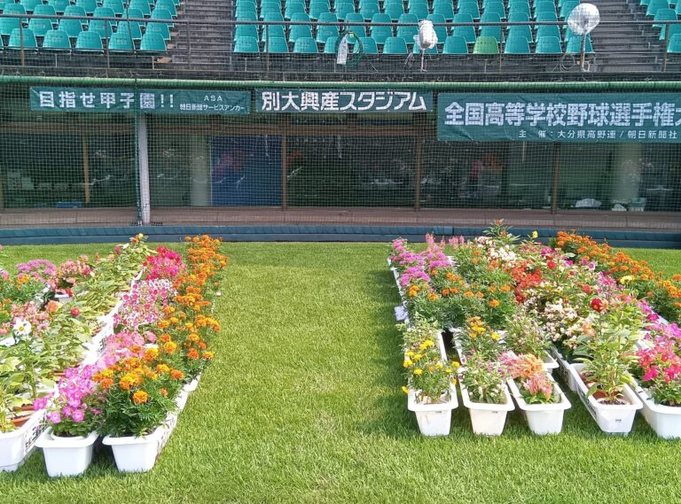 大分県高等学校野球大会メモリアルサイト